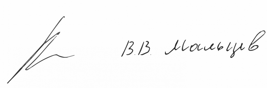 Подпись В.В.Мальцев
